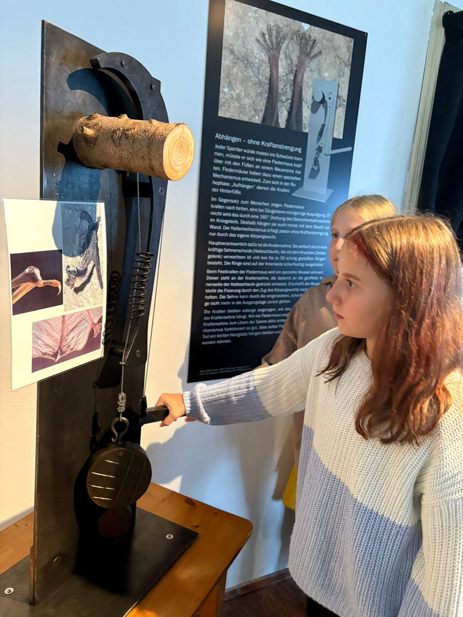 Im Fledermaushais im alten E-Werk in Feistritz machteb die &bdquo;Alpenrobben&ldquo; ihre ersten Erfahrungen mit den Flederm&auml;usen, die sie in den kommenden zwei Jahren erforschen werden.