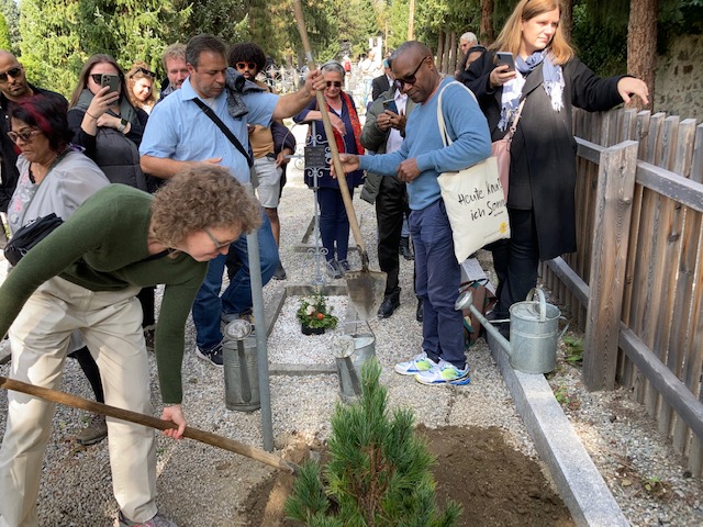 Der Friedensbaum erinnert auch an das URI-Europatreffen in Lienz. Foto: Stangl