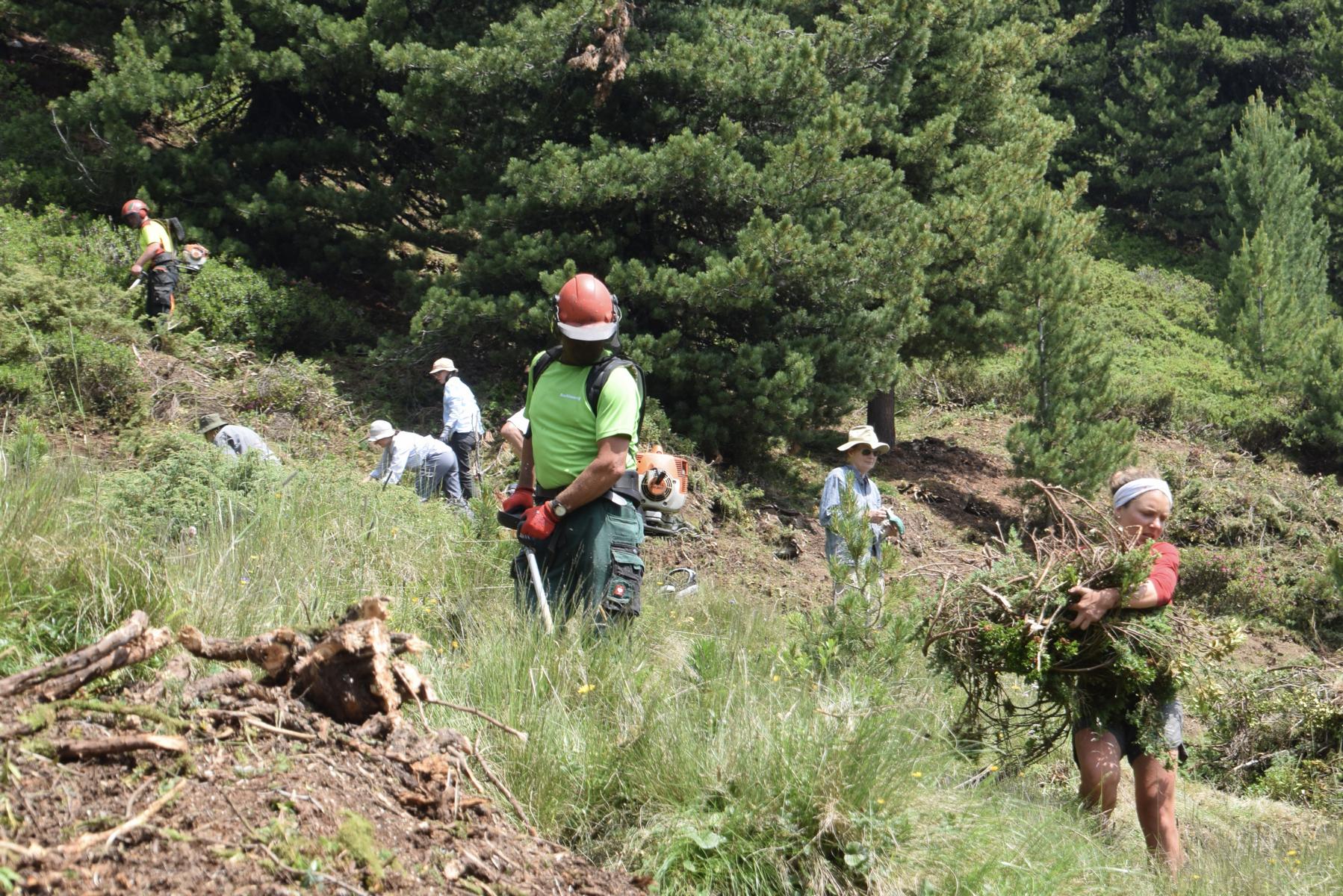 Alle packen an, Foto: &Ouml;AV/Tom Schidlbauer