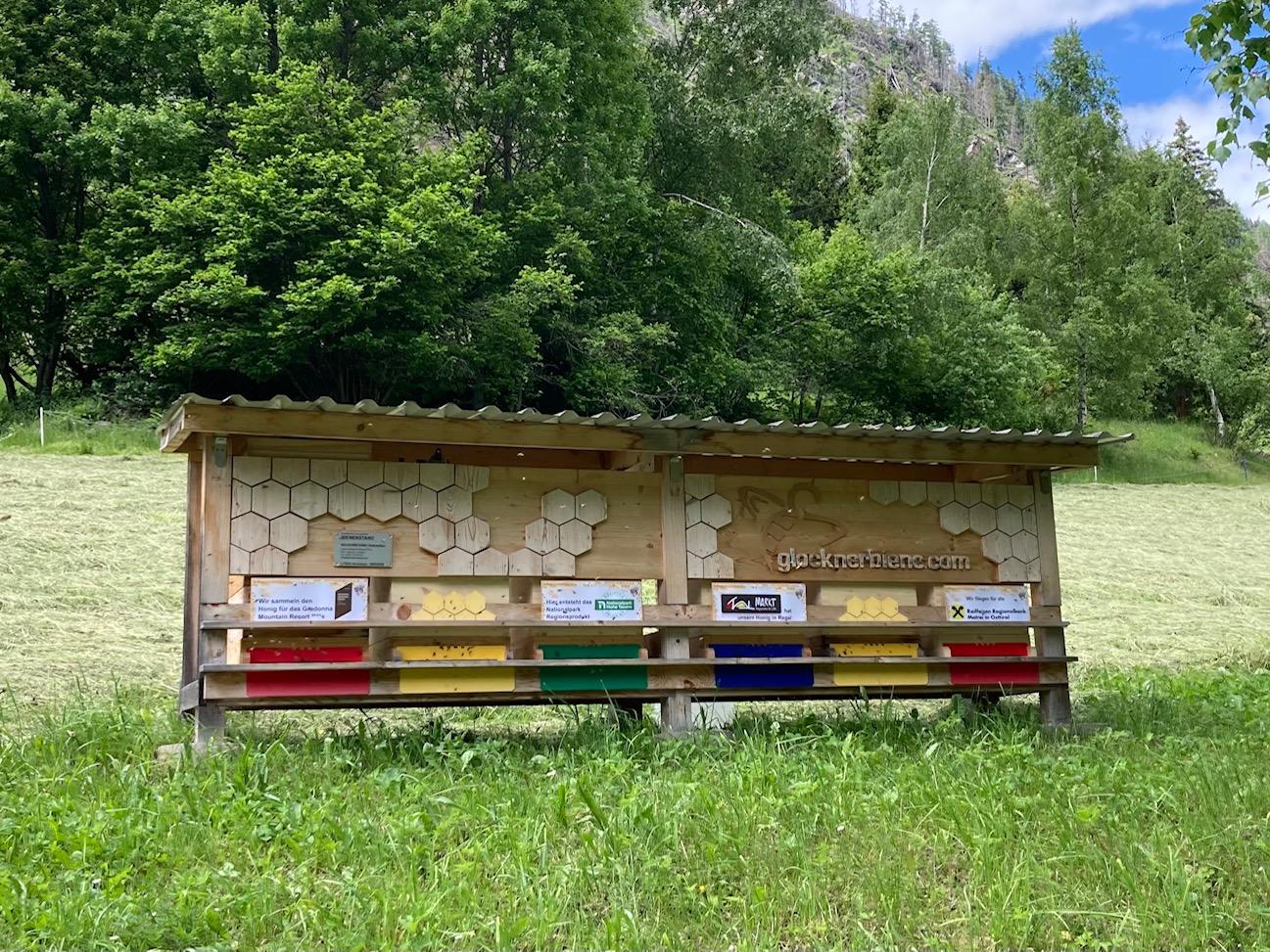 Flei&szlig;ige Bienenv&ouml;lker bei der Arbeit am Kalser Bienenlehrpfad in Arnig. Foto: Stangl