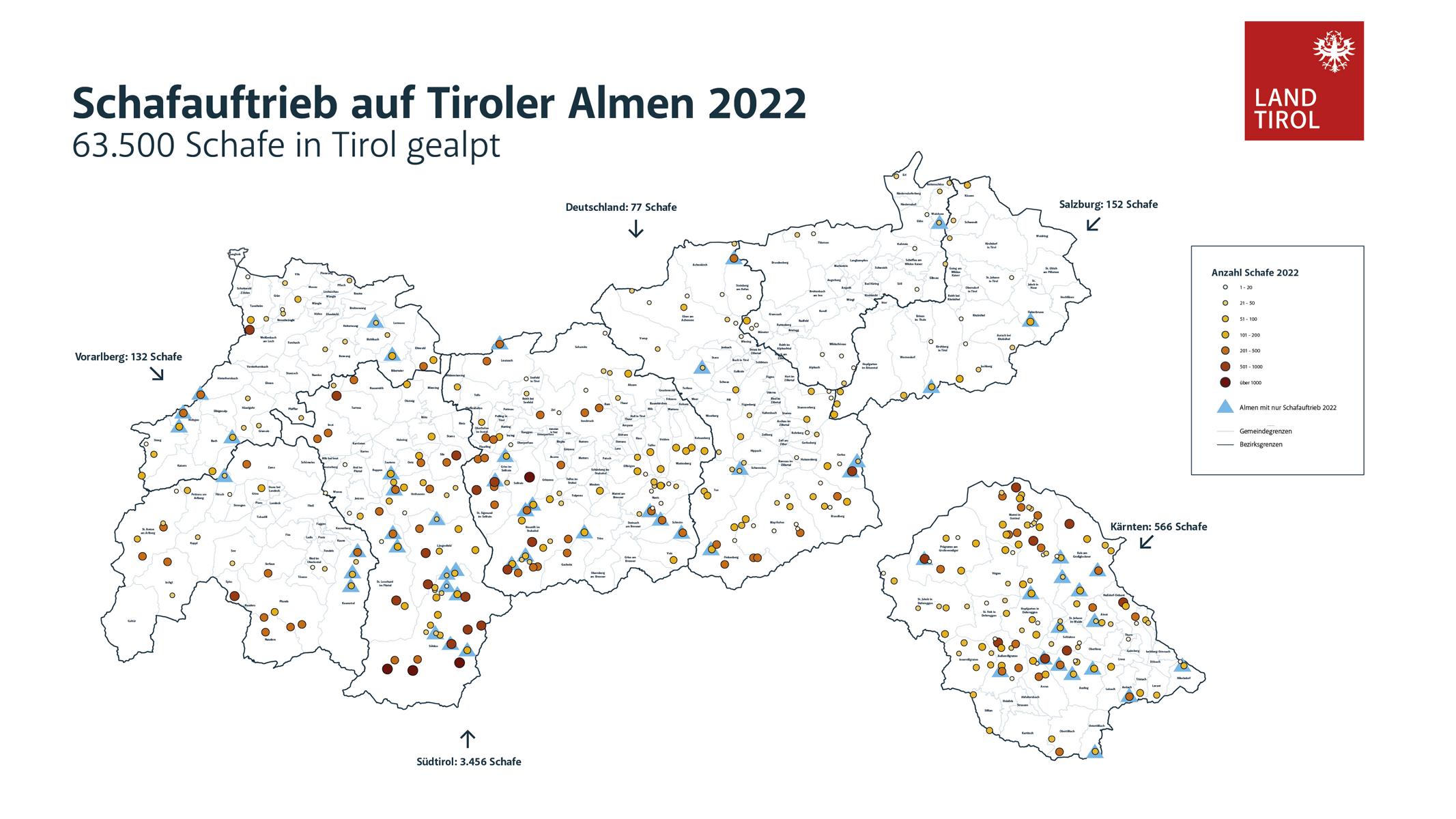 Schafauftrieb auf Tiroler Almen 2022
