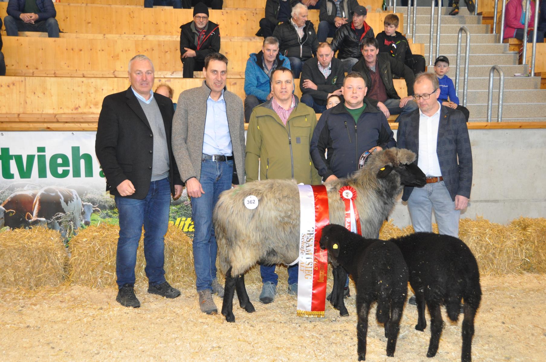 Marcel Steiner holt den Gesamtsieg in der Steinschaf-Gruppe der Altschafe: Foto: RGO