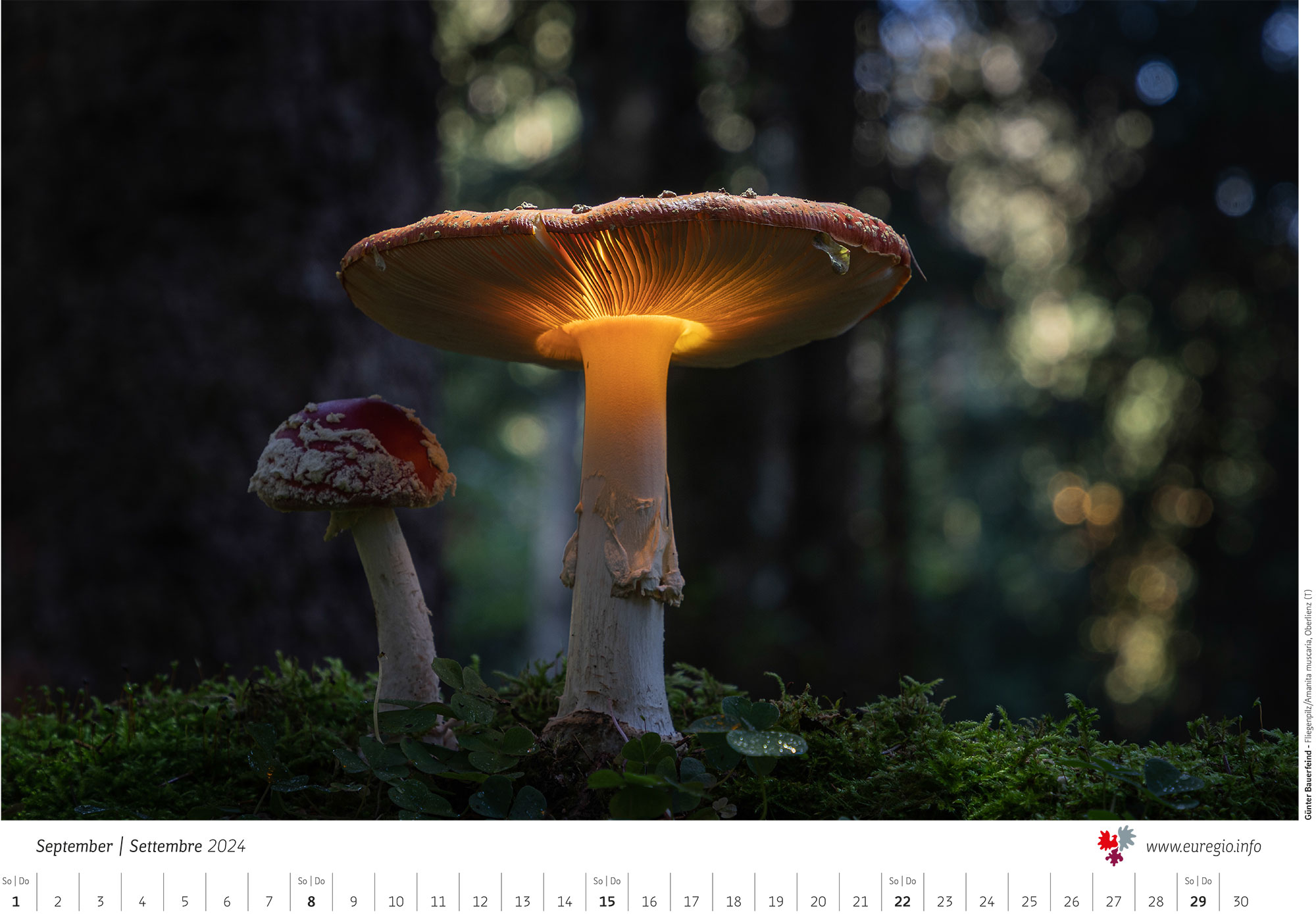 Bauernfeind-G&uuml;nter-Euregio-Kalender-2024-Calendario-dell-Euregio-27