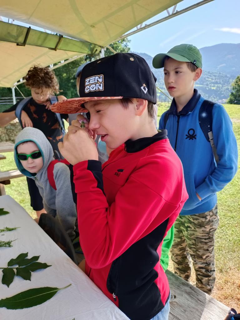 Was w&auml;chst da auf der Mauer? Foto: Aguntum