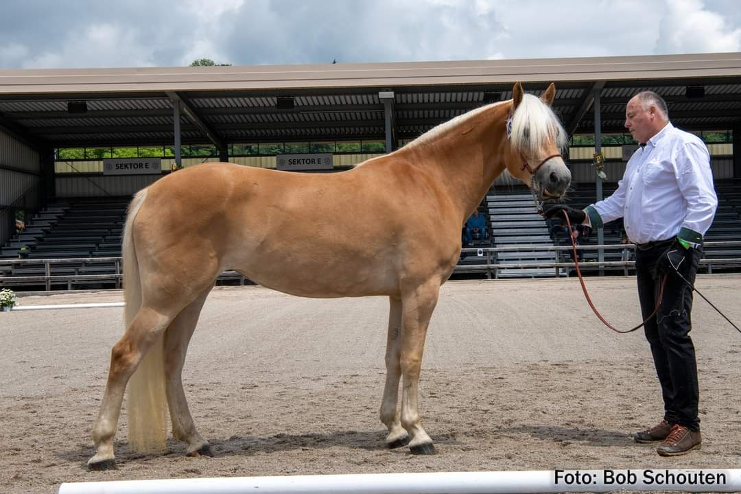 Paul Riepler aus Ainet mit seiner &bdquo;Sunflower&ldquo;