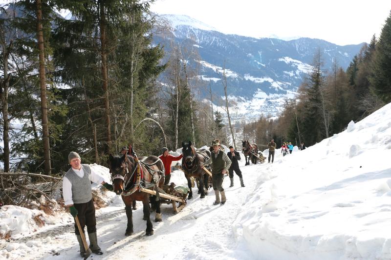 Die Gespanne trafen am Vormittag in Putschall ein, dann ging es gemeinsam bergw&auml;rts, um die Fracht abzuholen. Foto: Heidi Schober
