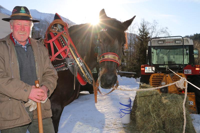 Auf Tuchf&uuml;hlung nicht nur mit dem eigenen Pferd: Josef Haritzer aus Putschall. Foto: Heidi Schober