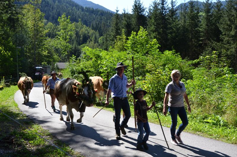 Schon von weitem war das Gel&auml;ute der gro&szlig;en Glocken zu h&ouml;ren.