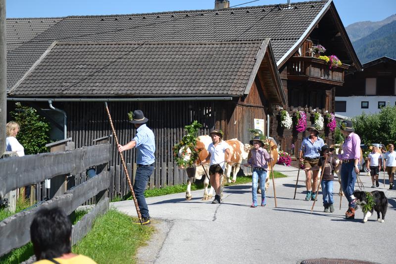 Nach einer &bdquo;Ehrenrunde&ldquo; durch das Dorf wurden die K&uuml;he von den Zuschauern begr&uuml;&szlig;t.