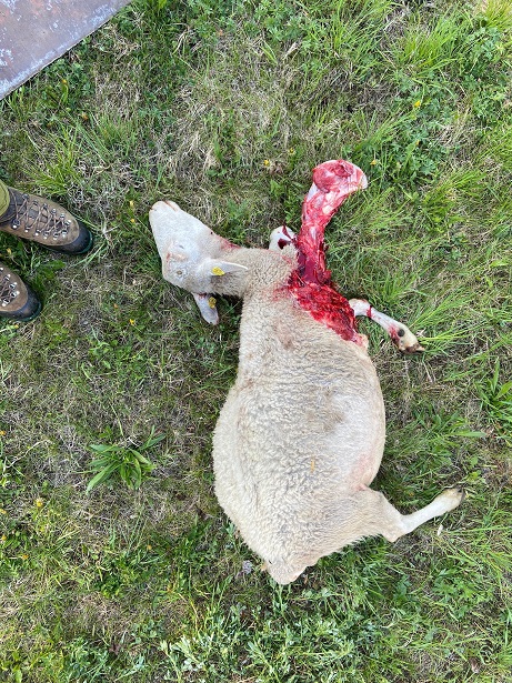 Risse gab es auch in der Gemeinde Flattach. Foto: privat