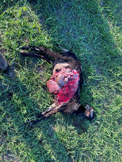 Risse gab es auch in der Gemeinde Flattach. Foto: privat