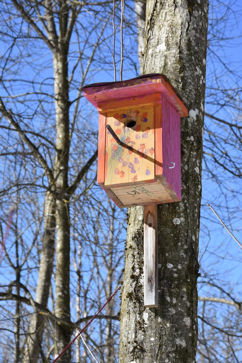 Im Fr&uuml;hling werden die Nistk&auml;sten ausger&auml;umt. Manche der K&auml;sten wurden von verschiedenen Vogelarten mehrfach bebr&uuml;tet. Foto: Engelbert Hosner