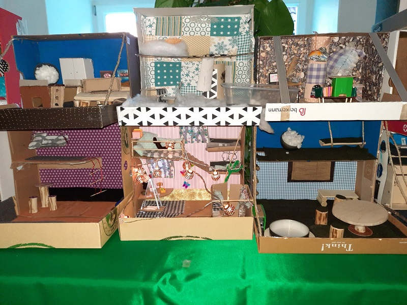 Die Ergebnisse konnten sich  sehen lassen.