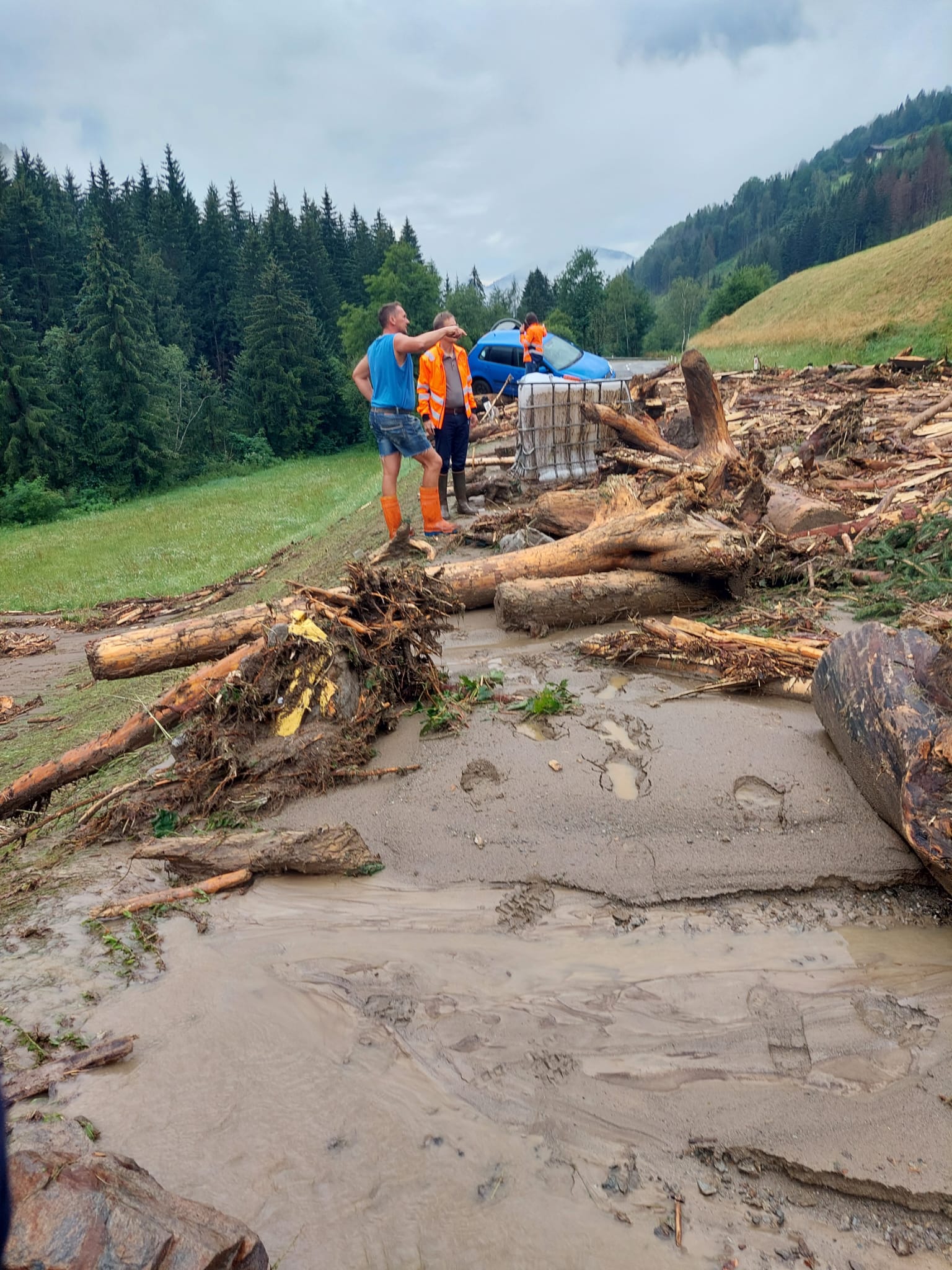 Murenabg&auml;nge im M&ouml;lltal
