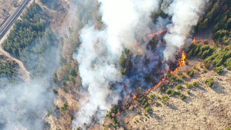 Am Burgstallberg gab es erneut einen Waldbrand.