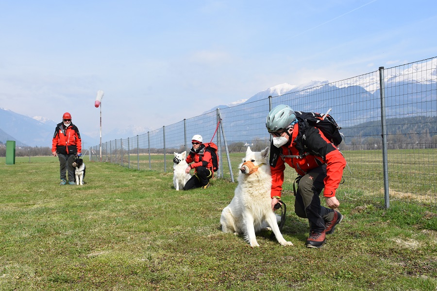 In K&auml;rnten gibt es 32 Hundef&uuml;hrer Teams beim &Ouml;BRD.