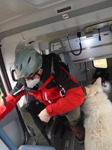 Zun&auml;chst trainierten die Vierbeiner das Ein- und Aussteigen, sp&auml;ter geht es in die Luft.