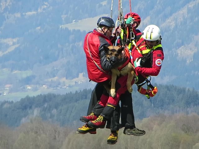 Zum Abschluss der &Uuml;bung flogen Hunde und Bergretter am Windenseil auf die Marhube bei Baldramsdorf. Foto: Bergrettung Spittal