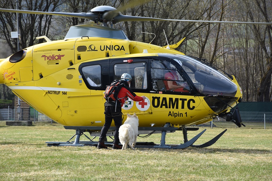 Zun&auml;chst trainierten die Vierbeiner das Ein- und Aussteigen, sp&auml;ter geht es in die Luft.