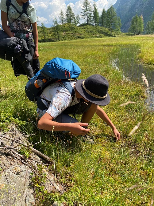 Juniorranger_innen unterwegs im NPHT_Foto Hans Keuschnig (11)