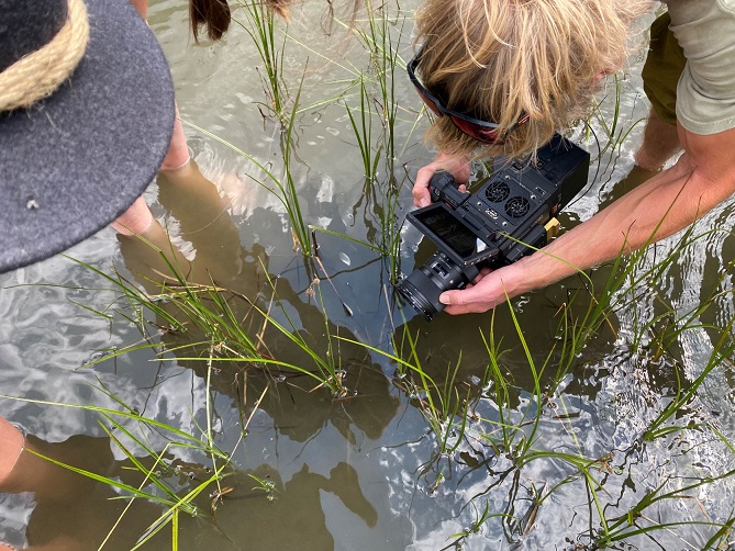 Juniorranger_innen unterwegs im NPHT_Foto Hans Keuschnig (12)
