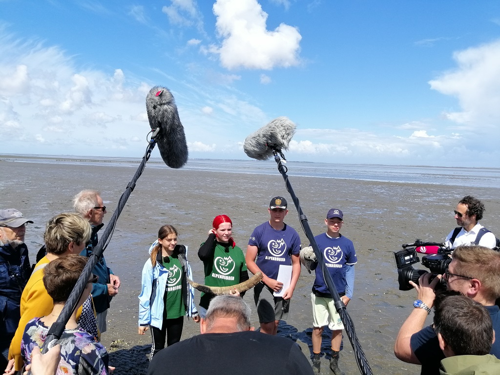 Das &bdquo;Alpenrobben&ldquo; Projekt erregte auch die Aufmerksamkeit des deutschen Fernsehen. Berichte gab es in Sat1 und auf ZDF