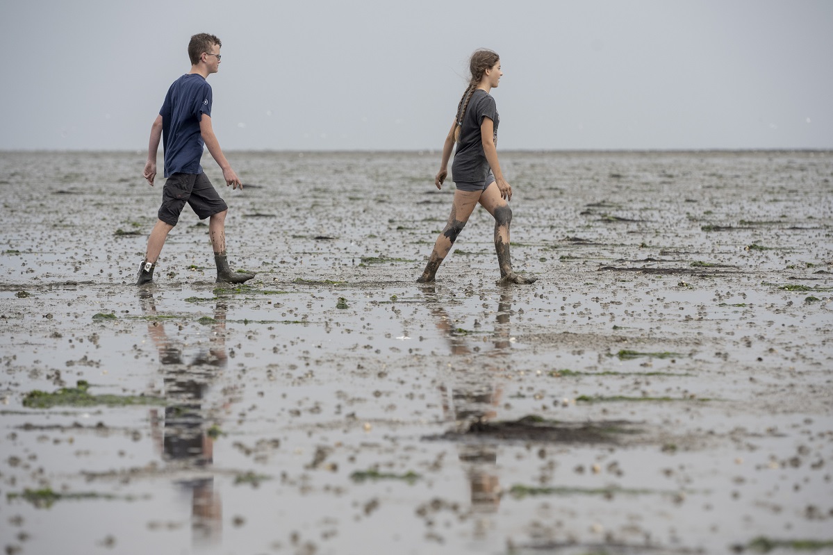 Die Wunderwelt Watt wurde den Sch&uuml;lern erkl&auml;rt.