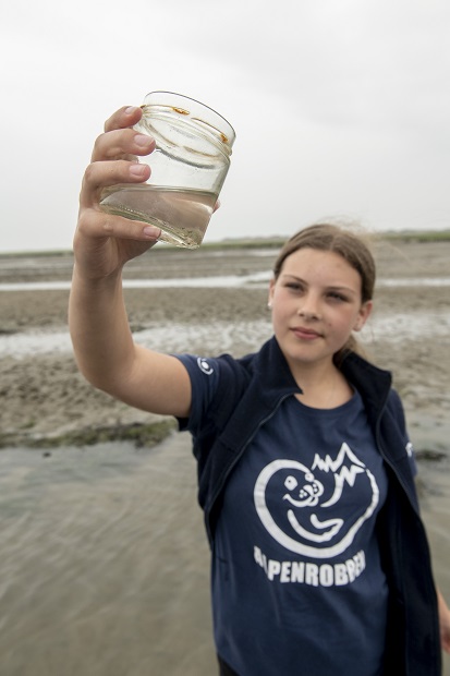 Das Watt wird genau untersucht.