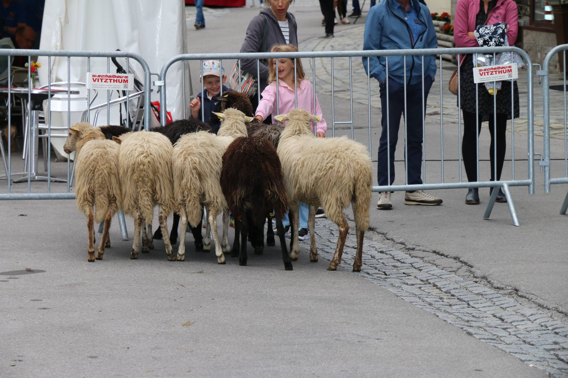 Eine Attraktion bei den Kleinen waren die niedlichen L&auml;mmer.