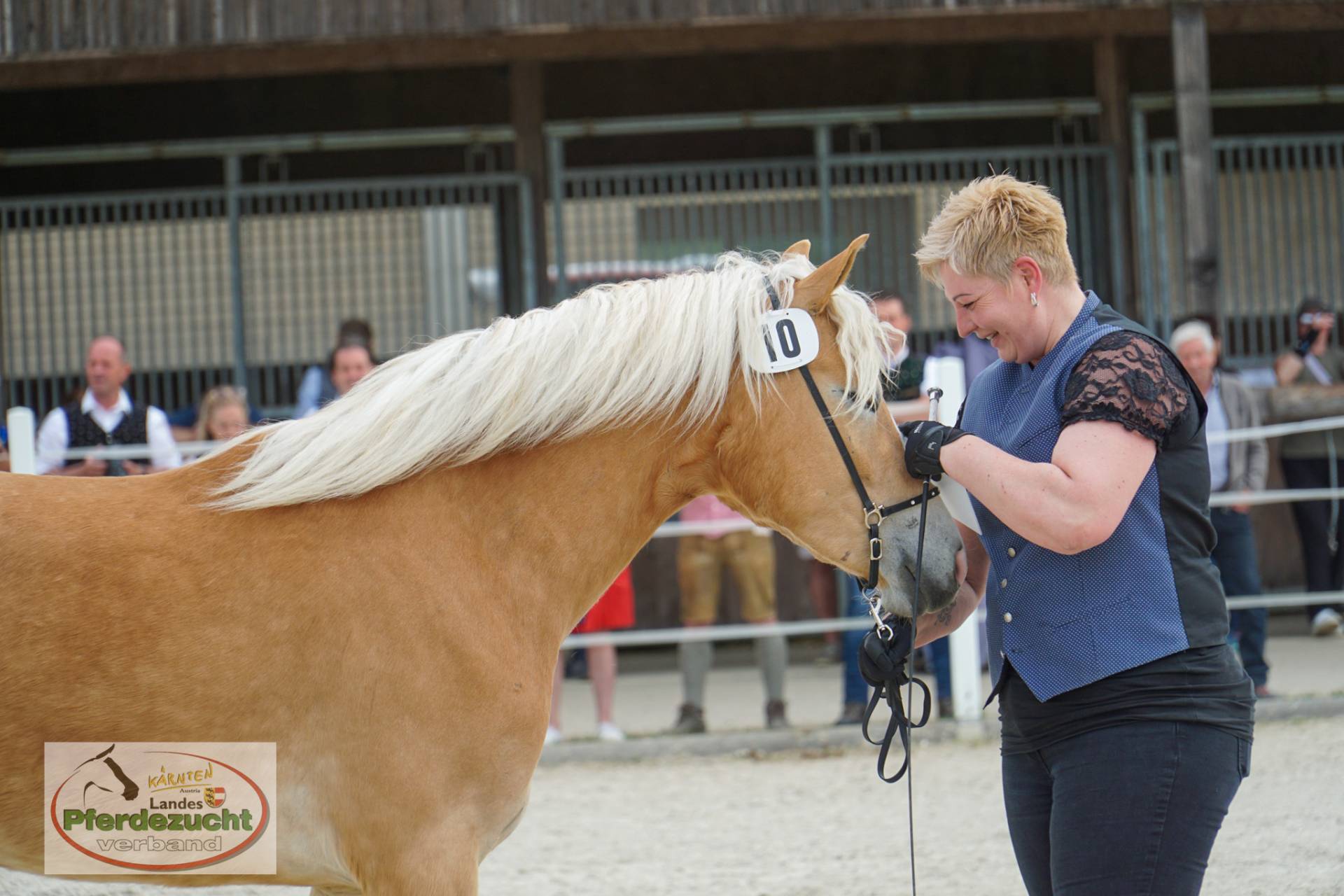 Die Haflingerstute &bdquo;Lamina&ldquo; war auch bei der Haflingerwertausstellung in Epps (Tirol) vertreten. Im Bild mit (Mit-) Besitzerin Melanie Burgstaller.