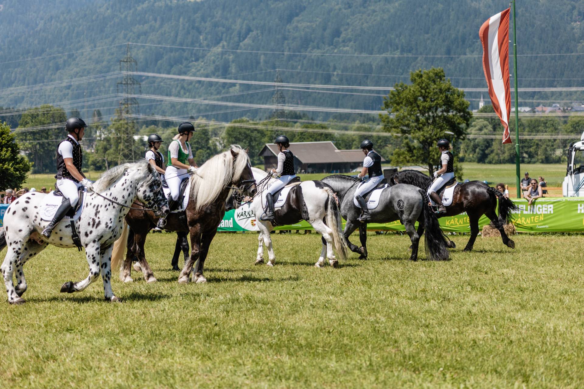 Tiger, Fuchs, Kuhschecke, Morhenkopf und Rappe &ndash; so vielf&auml;ltig sind die &bdquo;Farben&ldquo; der Noriker-Pferde, die bei der Landesleistungsschau in N&ouml;lbling im Juni angetreten sind.