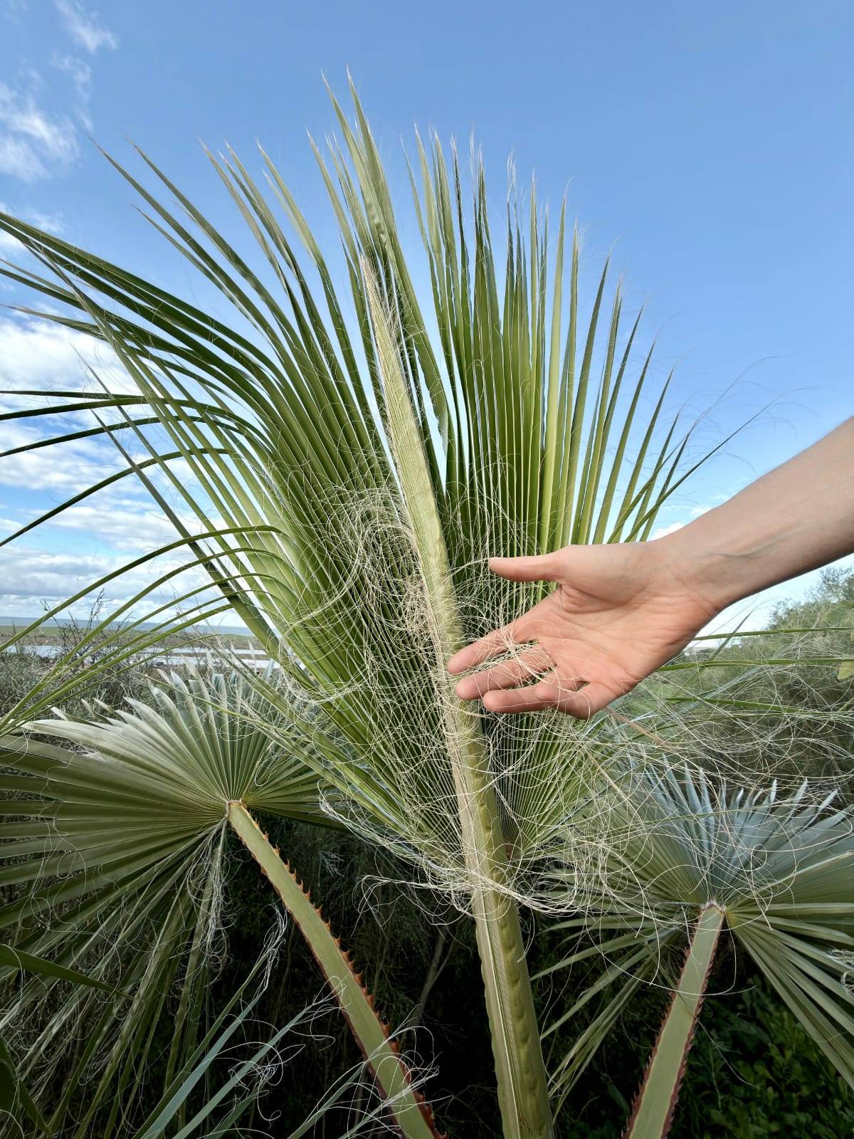 Foto: Katharina Zanon