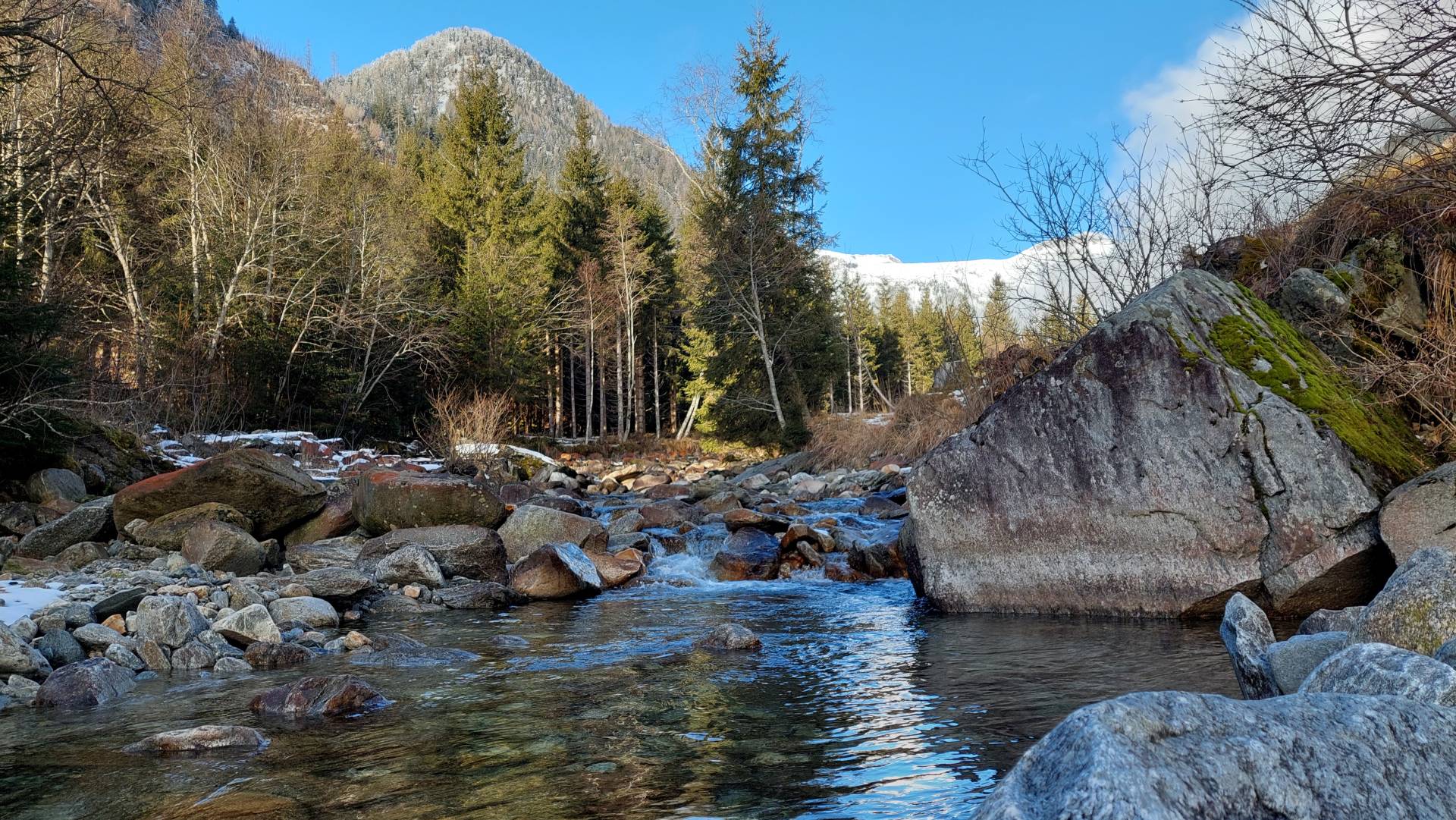 Der Radlbach in der Gemeinde Trebesing.