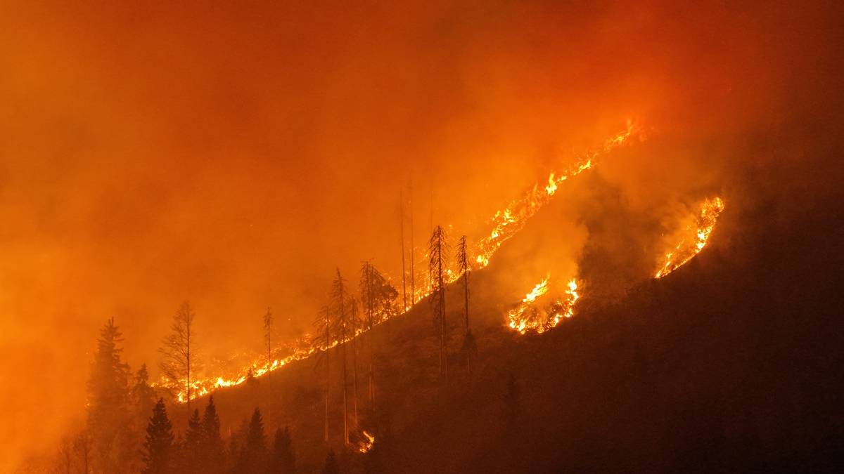 Die L&ouml;scharbeiten dauerten &uuml;ber die Nachtstunden an.