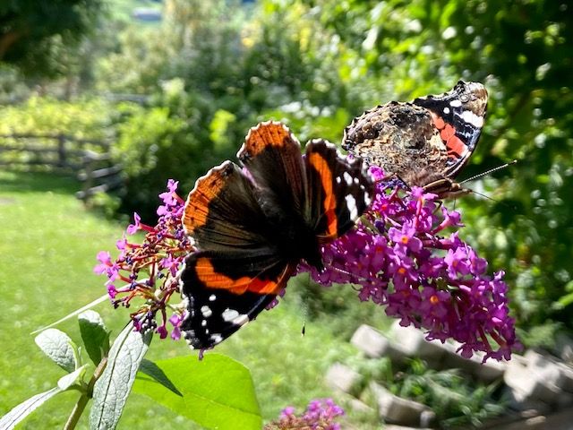 Foto: Brugger