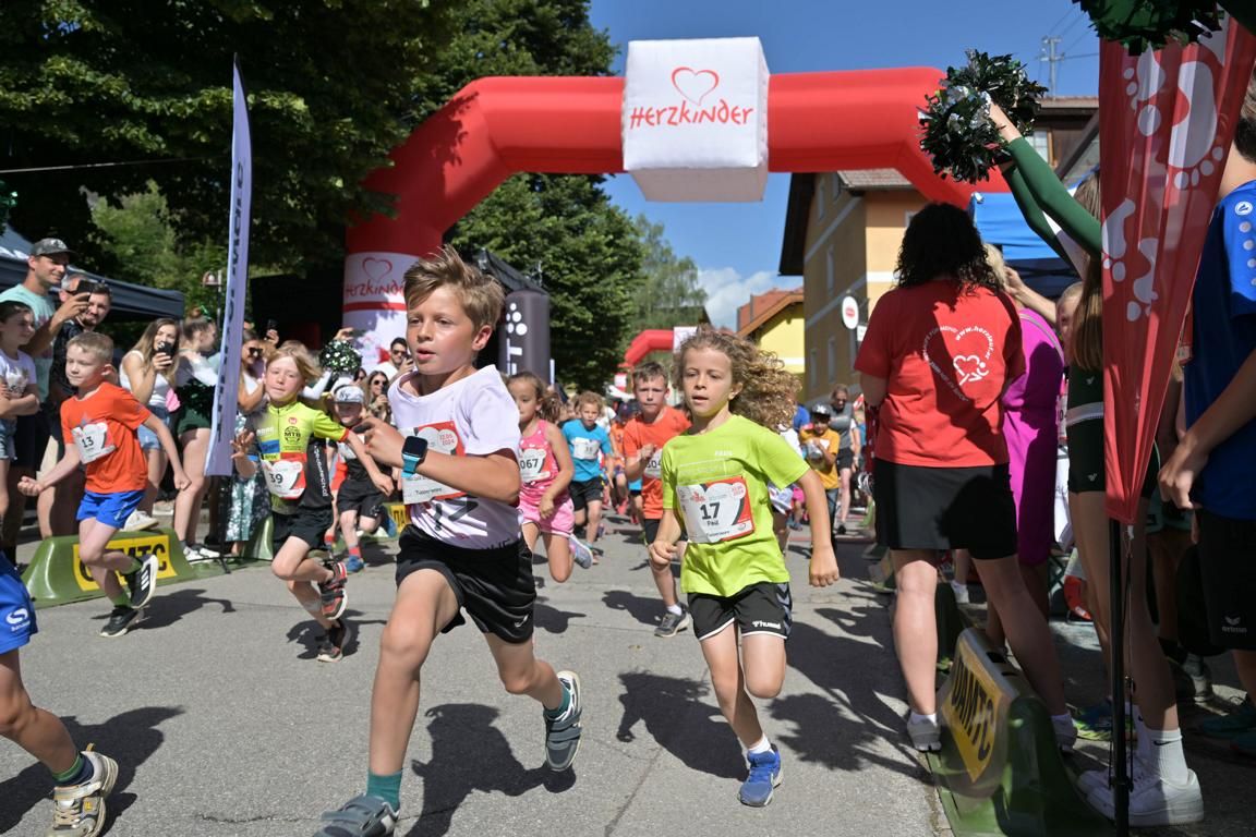 567 L&auml;uferinnen und L&auml;ufer gingen an den Start, um f&uuml;r die gute Sache Kilometer zu machen.