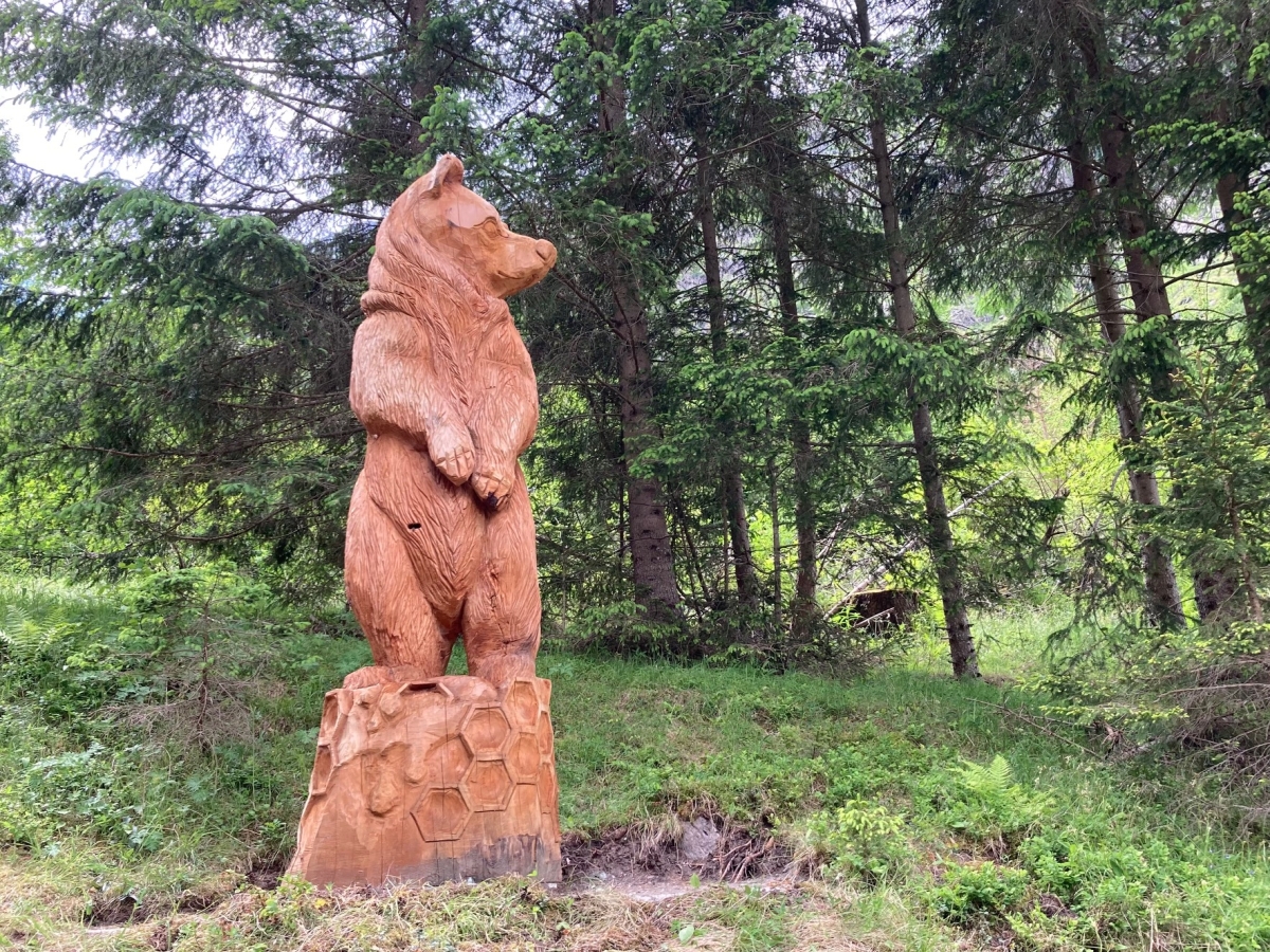 Kalser Honigb&auml;r ist Heimat f&uuml;r Bienenvolk