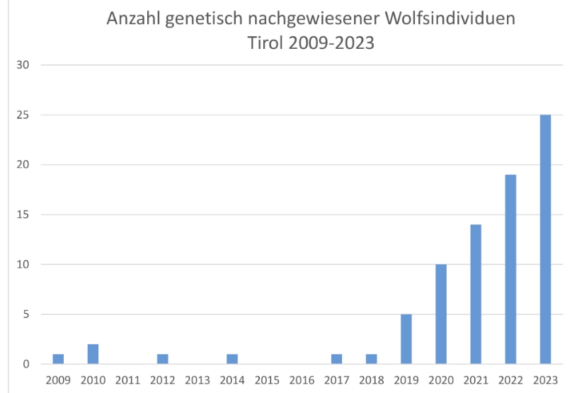 Mehr W&ouml;lfe, aber 43% weniger Nutztierverluste als im Vorjahr