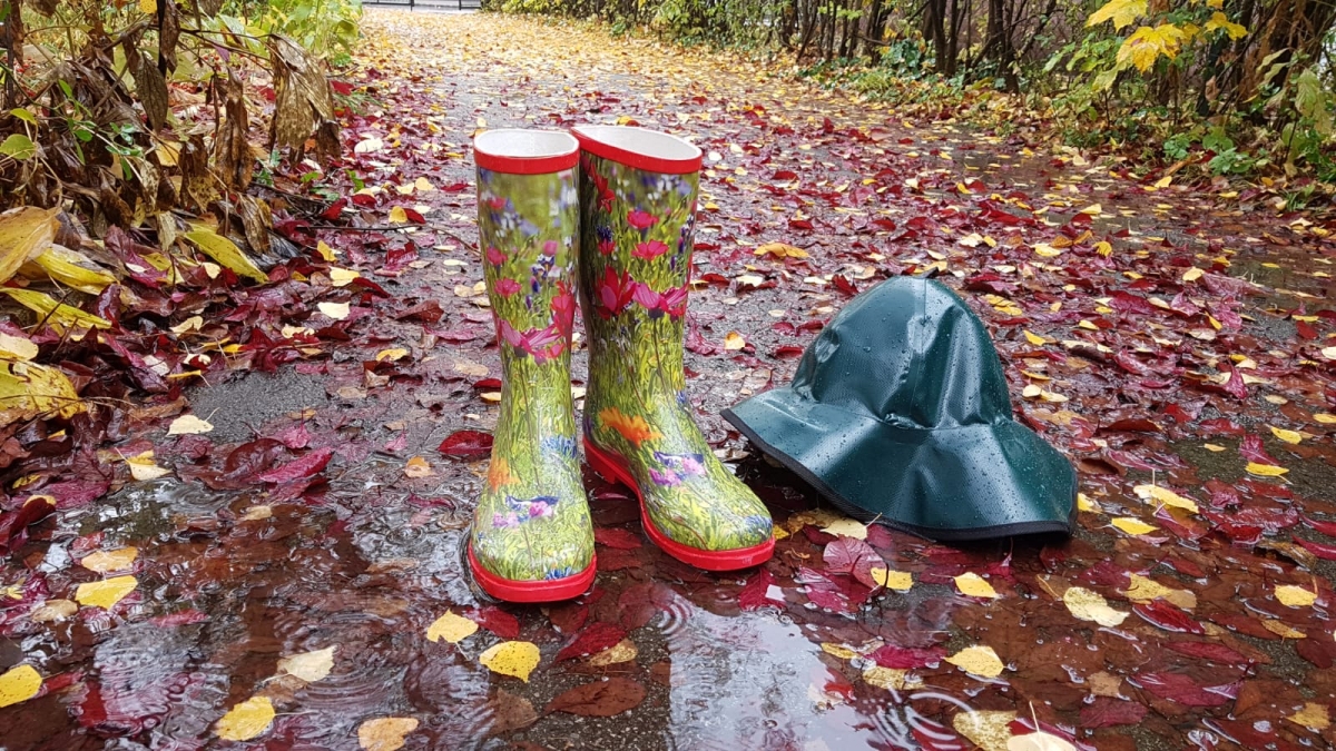Weitere ergiebige Niederschl&auml;ge ab Donnerstag