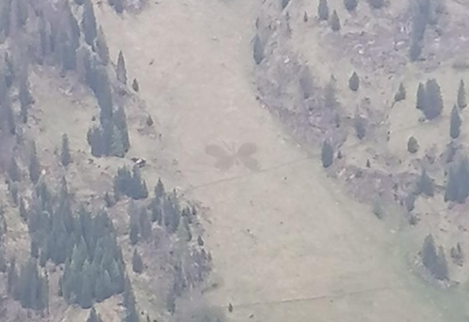 Jungbauernschaft in Aktion und Festumzug in D&ouml;lsach