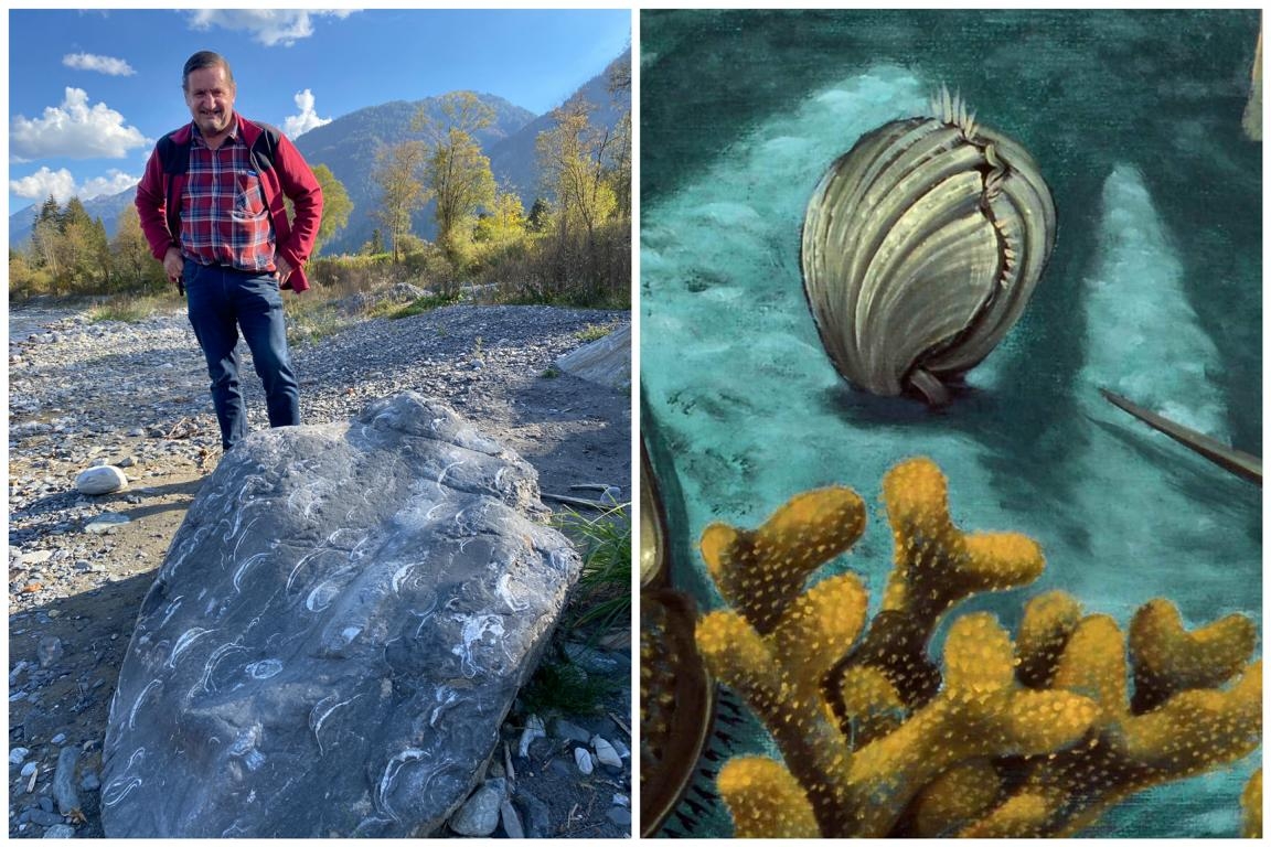 Au&szlig;ergew&ouml;hnlicher Fossilien-Fund im Gailtal