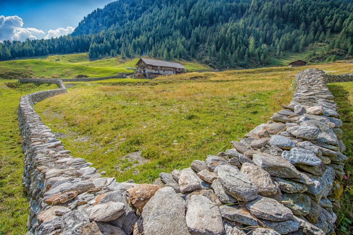 Defereggental: Freiwillige f&uuml;r Almpflege gesucht