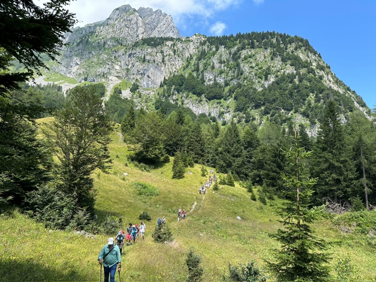 Auf historischen Pfaden vom Pl&ouml;ckenpass nach Timau