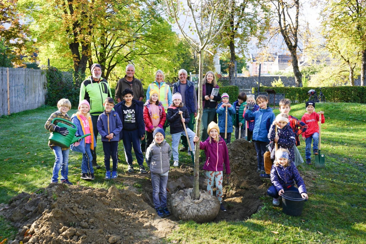 Schwammstadt erkl&auml;rt: Infoabend in Lienz