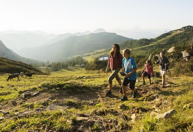 Sommersaison besser als erwartet