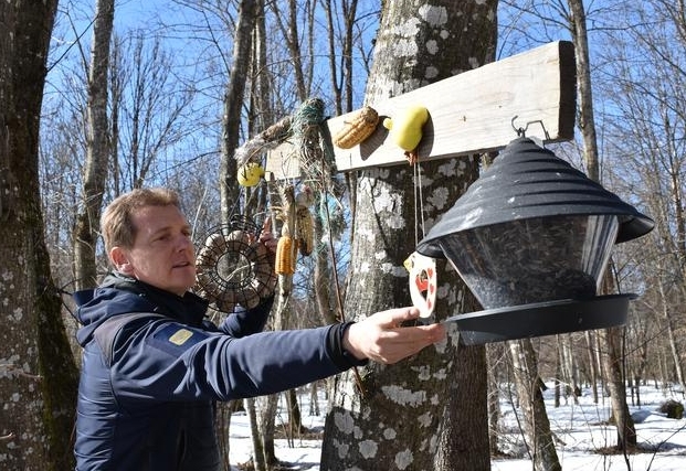 Erfolgreicher Vogelschutzwald