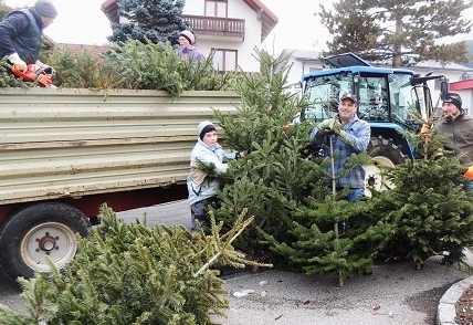 18 Jahre kostenlose Christbaum-Entsorgung 