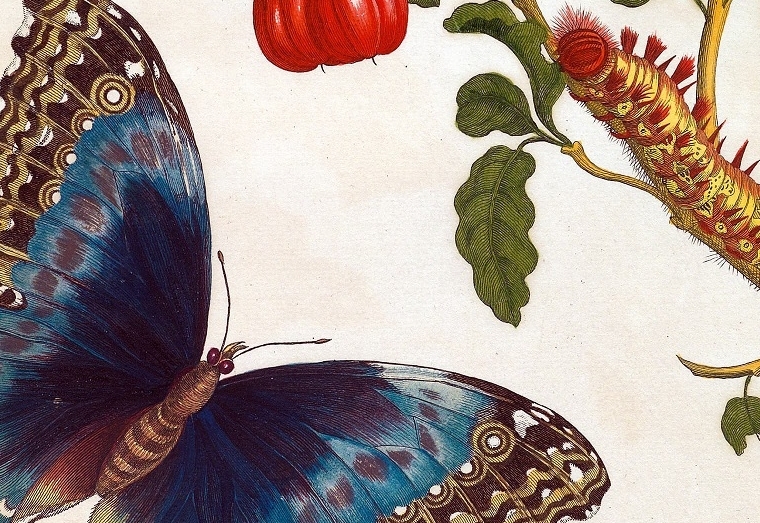 Gm&uuml;ndner Beitrag zur Biodiversit&auml;t