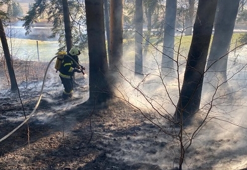 Verbot von Feueranz&uuml;nden und Rauchen im Wald