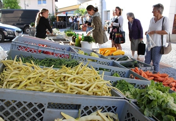 76 Verbesserungsvorschl&auml;ge f&uuml;r die Stadtgemeinde